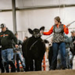 Meet your Posher, Mackenzie